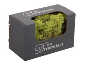 Dried Moss