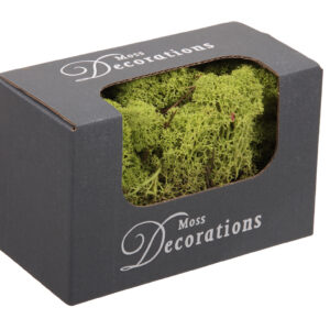 Dried Moss
