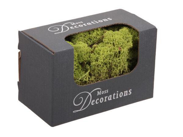 Dried Moss