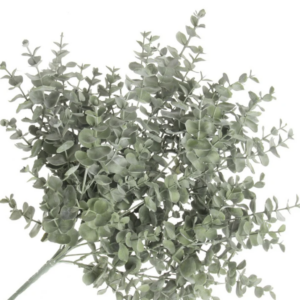 Foliage