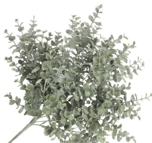 Foliage