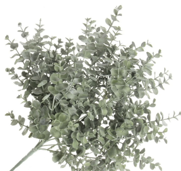 Foliage