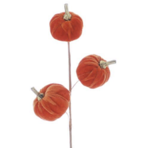 Autumnal Berries & Fruit