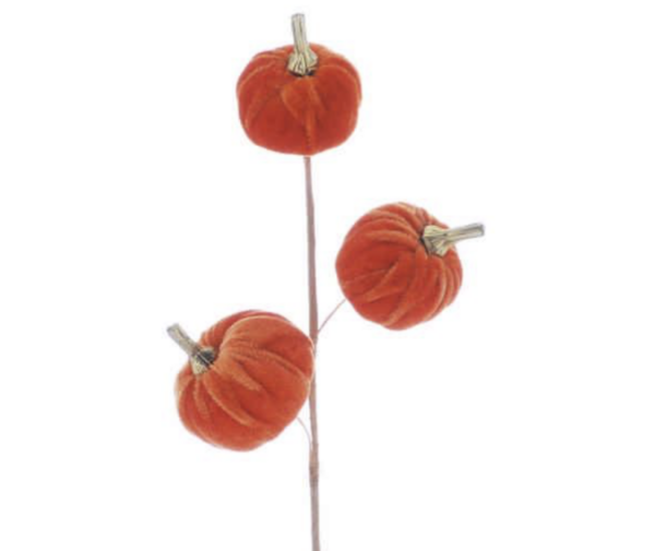 Autumnal Berries & Fruit