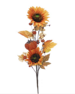 Autumnal Flowers & Picks