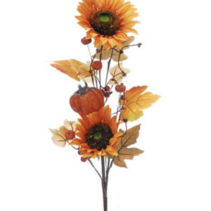 Autumnal Flowers & Picks