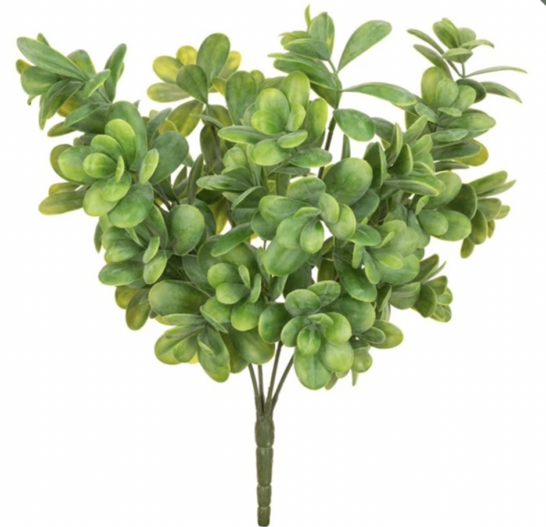 UV Foliage